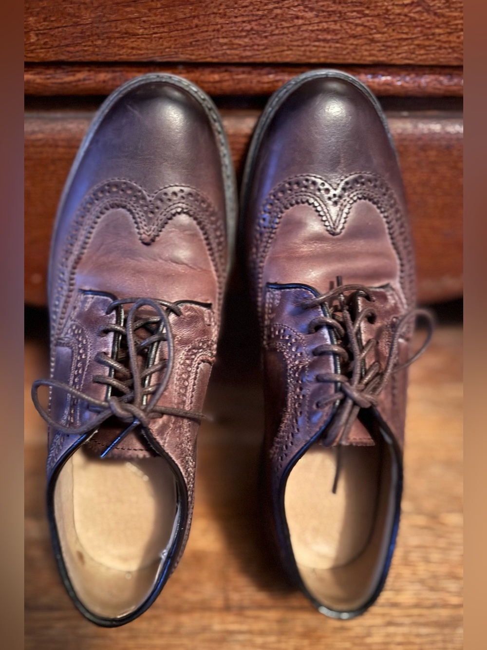 Frye James Wingtip shoes